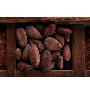 Sustainable Sourced Premium Cocoa <b>Beans</b> Wholesale Bulk For Ethical Chocolate Brands - Product Image 2