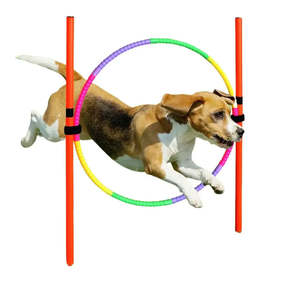 Kit d'entraînement aux obstacles en plastique pour chiens - Product Image 1