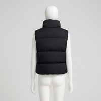 Chaleco Corto de Algodón Barato para Mujer, Otoño Invierno 2023, con Capucha, Cortavientos, Transpirable, con Forro de Piel de Zorro, Sin Mangas, Color Negro, Nuevo
