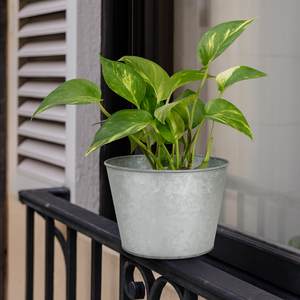 Jardinière en métal galvanisé élégant avec doré parfait pour balcon et décor intérieur ou extérieur - Product Image 1