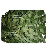 Feuilles de papaye séchées en sachets sous vide, qualité supérieure, livrées à votre porte