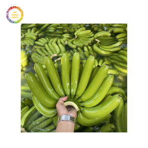 Venta al por mayor vietnamita Premium Fresh Cavendish Banana Custom Logo Green Banana | Vietnam Highland Banana - Product Image 5