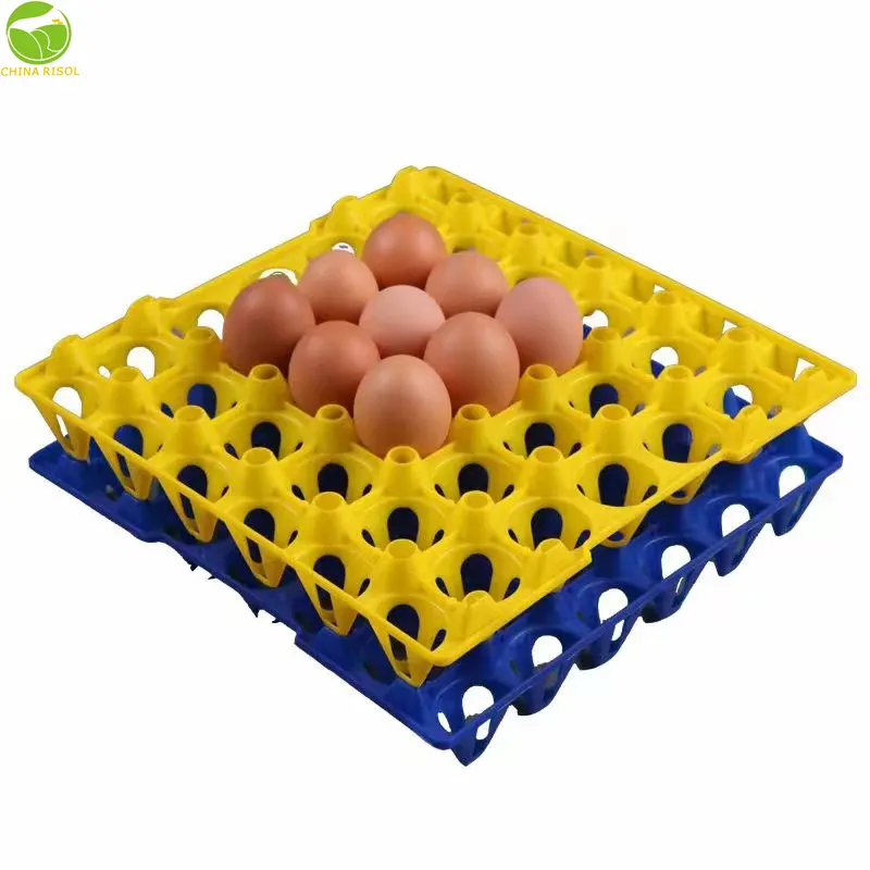 Venta al por mayor más nuevo diseño reutilizable 30 huevos de gallina bandeja de huevos de plástico para embalaje de huevos