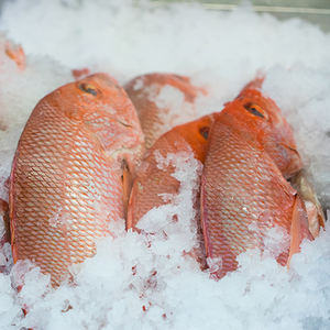 Poisson Rouge Snapper Biologique Congelé de Qualité Supérieure, Processus BQF, Faible Teneur en Glucides et en Sel, Taille 6cm, En Vente - Product Image 1