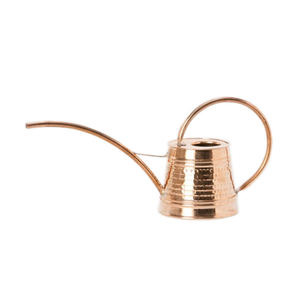 Arrosoir en métal blanc avec revêtement en poudre, utilisé pour le jardinage, design en relief, arrosoir galvanisé - Product Image 2