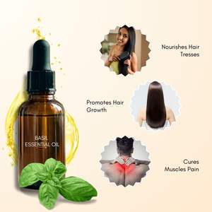 Huile Essentielle de Basilic Pure en Gros, Distillée à la Vapeur, Huile Parfumée Certifiée Halal pour Bougies, Savons et Liquides de Lavage à Bas Prix - Product Image 3