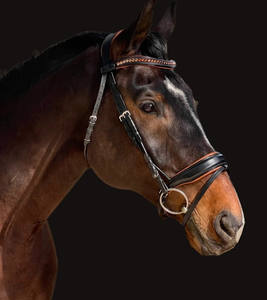 Enrollado Snaffle Bridle Venta caliente portátil disponible 100% precio competitivo montar De exportador indio - Product Image 4