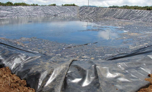 Film <span class=keywords><strong>d</strong></span>'étang de ferme de crevettes - Product Image 4