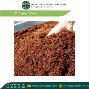 Nueva llegada 100% horticultura hidropónica de invernadero natural 25kg pacas de cocopeat de Sri Lanka a un precio razonable - Product Image 2