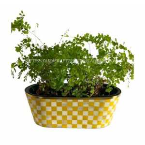 Modern Color Bone Inlay and Wooden <b>Vase</b> Stylish Flower Holder for Boho and Vintage Interiors Table - Product Image 3