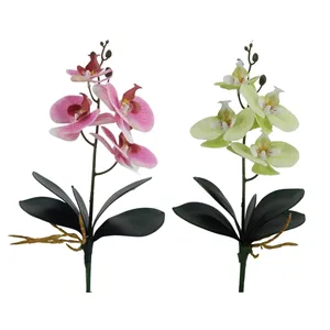 Bestverkochte Decoratieve Bloem Faux Phalaenopsis Bloem Met Bladeren Kunstmatige Phalaenopsis Orchideeën Voor Bloemstuk