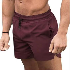 Maillot de bain pour homme Short de bain à séchage rapide Maillot de bain Maillot de bain - Product Image 1