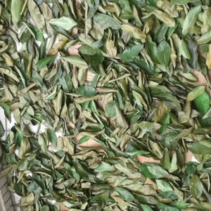 FEUILLES DE SOURSOP SÉCHÉES PREMIUM-MEILLEURES OFFRES-EXPORTATION EN GROS VIETNAM - Product Image 3