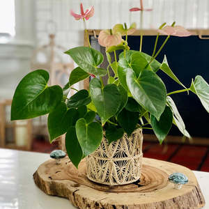 Pyramid Shaped <b>Vase</b> - Product Image 1