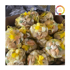 เปลือกหอยธรรมชาติคละขนาดหอยสังข์ผสมปลาดาวตกแต่งชายหาดงานฝีมืองานแต่งงานขายส่ง - Product Image 2