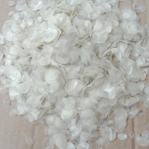 PRODUIT CHAUD DU VIETNAM ÉCHELLE DE POISSON EN VRAC AVEC BON PRIX - Product Image 2