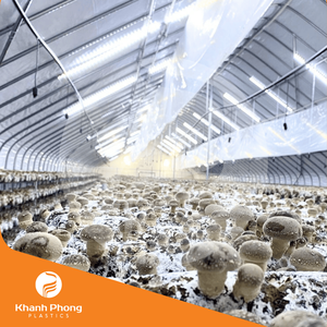 Film de serre pour l'élevage de champignons Isolation thermique, températures stables jour-nuit fabriquées par le Vietnam - Product Image 2