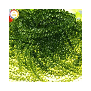Algues marines salées biologiques déshydratées Umibudo Caviar vert Algues marines Approvisionnement en vrac pour l'exportation mondiale - Product Image 1