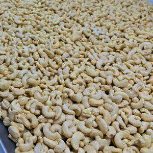 Noix de cajou crues fraîches vietnamiennes W320 de haute qualité, collations savoureuses et savoureuses pour l'exportation - Product Image 1