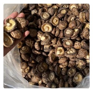 Setas shiitake vietnamitas de alta calidad: perfectas para delicias culinarias - Product Image 1