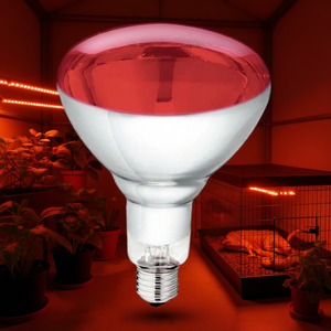 Bombilla Infrarroja IR de 250W, 230V, E27, Roja, Categoría de Producto - Product Image 3