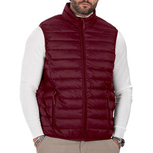 Chaleco Acolchado Sin Mangas Casual para Hombre OEM, Personalizado, Transpirable, Ecológico, de Secado Rápido, Talla Grande, con Cierre de Cremallera y Resistente al Viento - Product Image 4