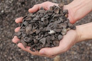 Meilleur prix et livraison rapide des déchets agricoles-Palm Kernel Shell disponible au prix de gros - Product Image 2