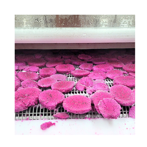 Fruit du dragon congelé IQF pour l'industrie du smoothie From Nature to Factory Frozen Dragon Fruit - Product Image 1