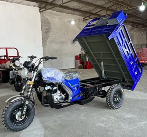 Triciclo de Carga a Gasolina con Amortiguador Especial, Cómodo para Transportar Carga Pesada y Productos Agrícolas - Product Image 2