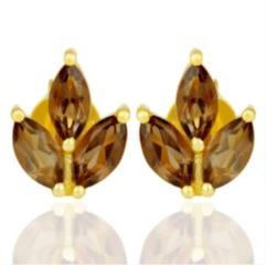 สีน้ำตาล