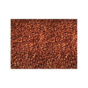 เมล็ดงาออร์แกนิคเกรดเอสีน้ำตาลจากออสเตรีย - Product Image 5