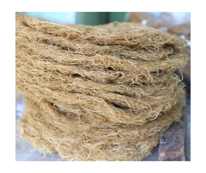 Musgo de mar seco natural Cottonii Premium Pure Superfood Wildcrafted a granel al por mayor Vegano No GMO Sin gluten Exportación saludable - Product Image 5