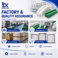Profil de guidage de chaîne UHMWPE sur mesure, directement de l'usine, pour support de chaîne, guidage coulissant et longue durée de vie