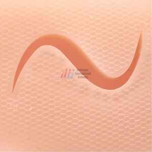 Almohadilla de práctica de sutura de silicona duradera de 3 capas con 19 heridas precortadas, herramienta de formación médica certificada CE, etiqueta privada OEM - Product Image 2