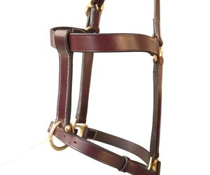 Licou écologique en cuir huileux indien de première qualité FAB avec boucle en laiton massif Taille et couleur personnalisables - Product Image 4