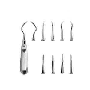 Elevadores de Raíces Dentales Manuales de Acero Inoxidable Ligeros en Oferta - Product Image 4