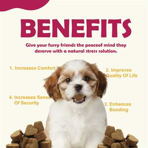 Multivitamínico Masticable para Perros con Glucosamina 15 en 1, Vitaminas y Suplementos para Perros, Apoyo para las Articulaciones de las Mascotas, Multivitamínico para la Salud de los Perros - Product Image 4