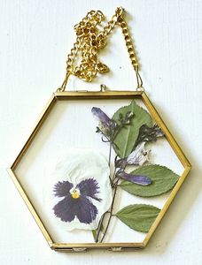 Modern Hexagon Brass Floating Photo <b>Frame</b> Glass Hanging Picture <b>Frame</b> for Pressed Flowers <b>Plant</b> Specimen Wall Decor Ornament - Product Image 4