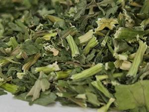 ใบผักชีฝรั่งแห้ง100% ธรรมชาติจากเวียดนาม-ms.laura - Product Image 5