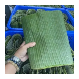 Hojas de plátano congeladas de alta calidad: hojas de plátano frescas estándar de exportación para envasado de alimentos y comercio global - Product Image 1