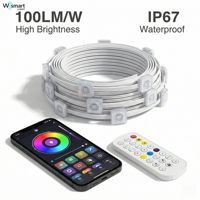Tira de Luz LED RGBW IC DC36V, Sistema de Iluminación Arquitectónica para Exteriores IP67, 100LM/W