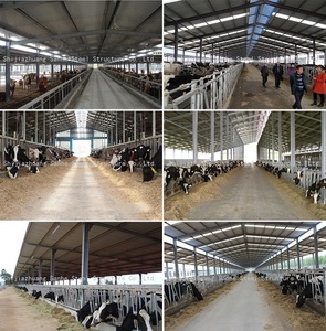 Nhà tiền chế hoàn chỉnh bò đổ gia súc nhà kho bán bò chăn nuôi trang trại granja de vacas lecheras bò Barn - Product Image 2