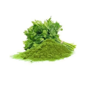 Herbojit International, Aditivo de Comida Popular de Grado Alimenticio, Polvo de Cilantro Natural Saludable Secado por Aspersión para Colorantes, Súper Calidad - Product Image 1
