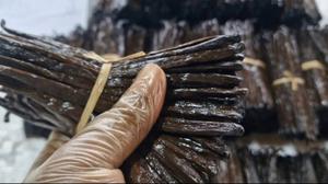 Vainas de Vainilla Bourbon de Madagascar Vanille Harvest, 3 Vainas en Tubo de Vidrio, Venta al por Mayor, Premium, 100% Natural, Vainilla Seca Planifolia - Product Image 5