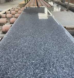 Dalles de granit modernes et durables Sherka Gray avec finition polie pour les projets de villas de luxe - Product Image 3