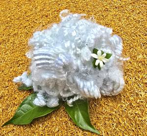 15Dx64mm HD-Fibre de polyester non conjuguée non siliconée creuse Meilleur prix Meilleure qualité Fabricant vietnamien - Product Image 5