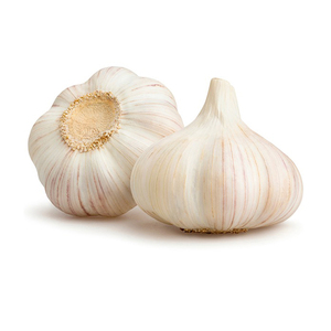 Ajo Blanco Fresco, Orgánico y Natural en Stock para Envío Global desde CA - Product Image 6