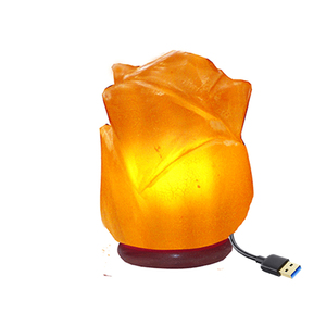 Lámpara USB de sal del Himalaya de alta calidad pulida a mano con base de madera, decoración ligera para el hogar, artesanía Natural de bajo precio - Product Image 5