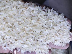 100% <b>Organic</b> Broken White Thai <b>Rice</b> Long Grain Hard Texture for Cooking Including Basmati and Jasmine <b>Rice</b>-for Sale - Product Image 4