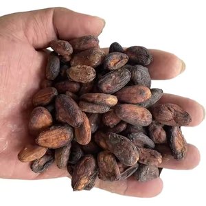 เมล็ดโกโก้แห้งออแกนิกบริสุทธิ์สำหรับขายช็อกโกแลตถั่วผง - Product Image 4